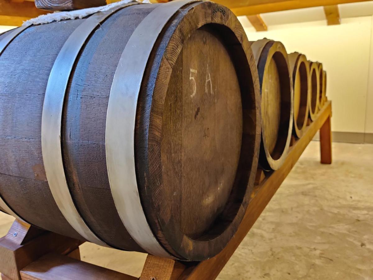 La Bella Modena Centro酒店 外观 照片
